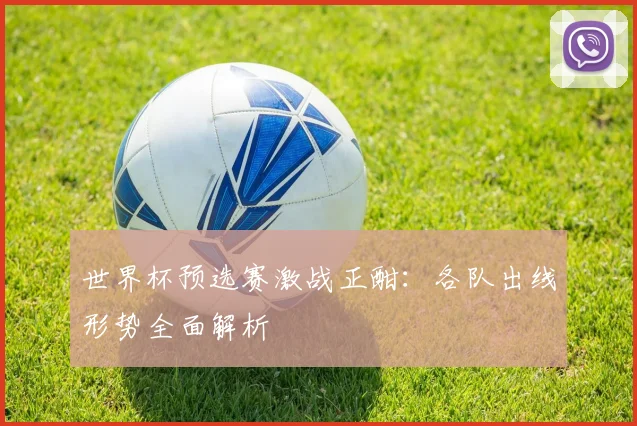 世界杯预选赛激战正酣：各队出线形势全面解析