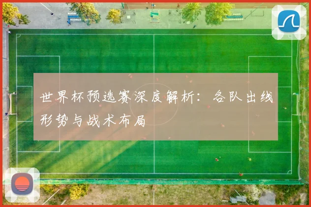 世界杯预选赛深度解析:各队出线形势与战术布局