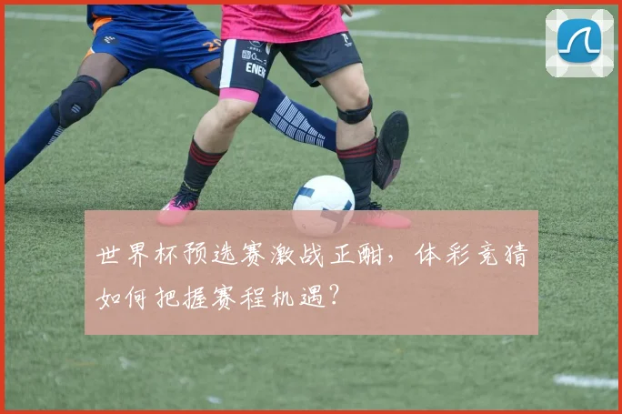 世界杯预选赛激战正酣,体彩竞猜如何把握赛程机遇?